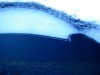 The colour blue – the devil, the virgin and the red dyers’ bribes