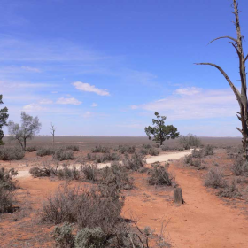mungo lookout