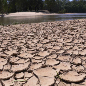 murray river