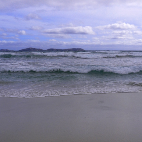 wilsons prom
