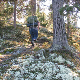 up