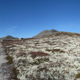panorama