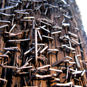 staples