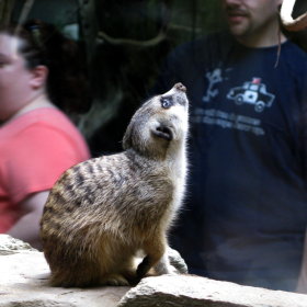 various museums & zoo