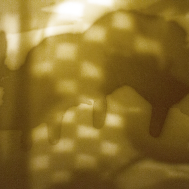 translucency
