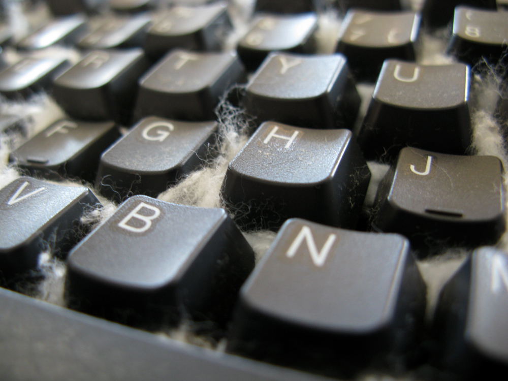 keyboard garden
