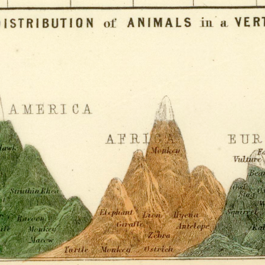 zoological chart