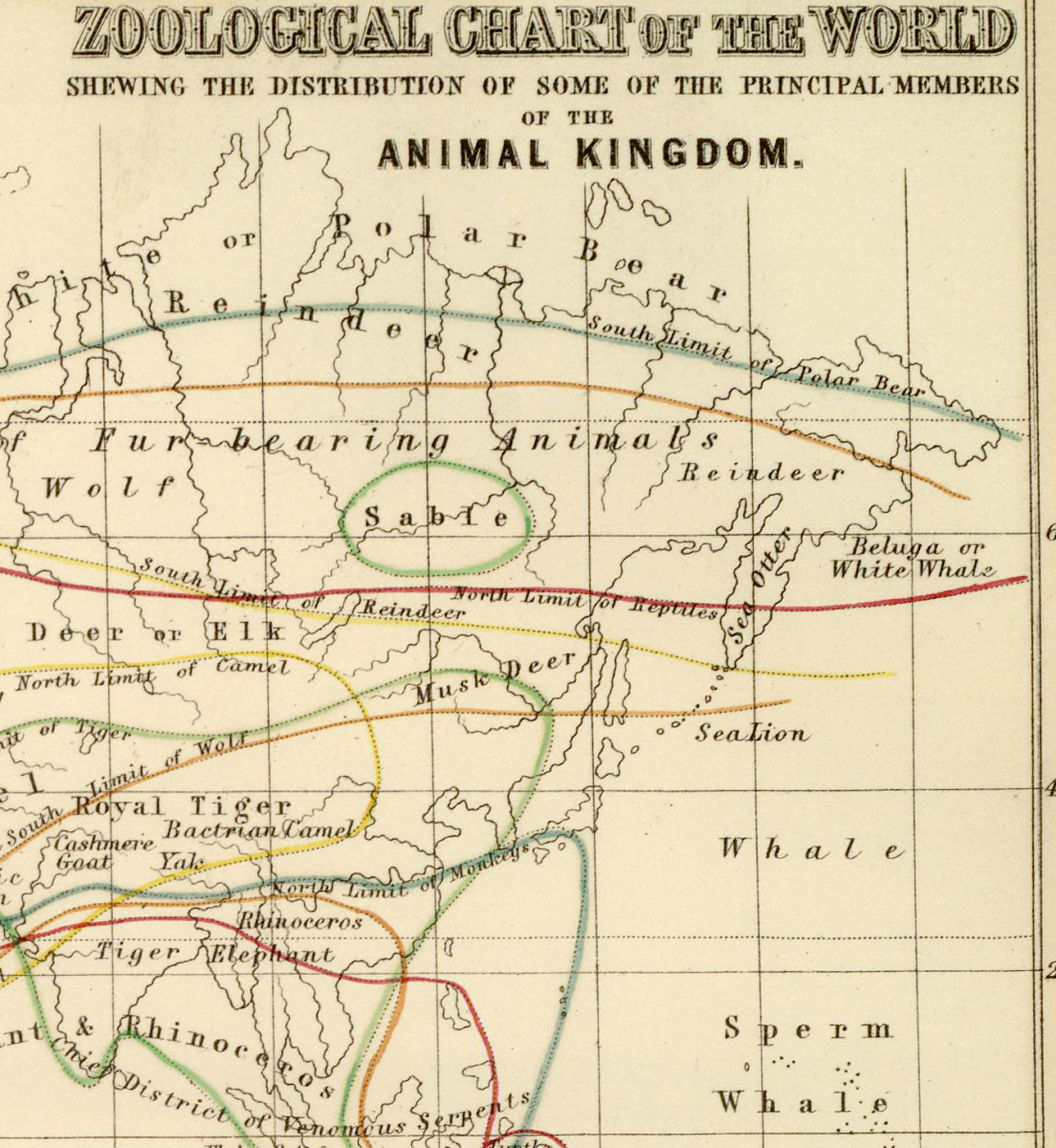 zoological chart