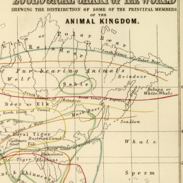zoological chart