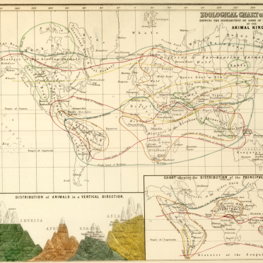 zoological chart