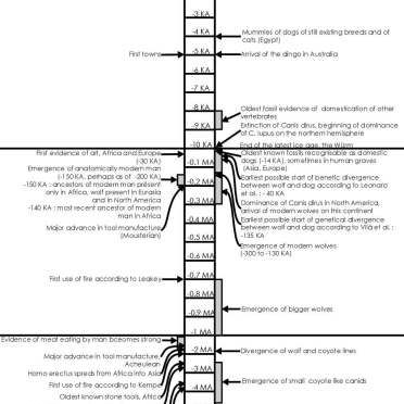 ChartHumanCanineEvolution
