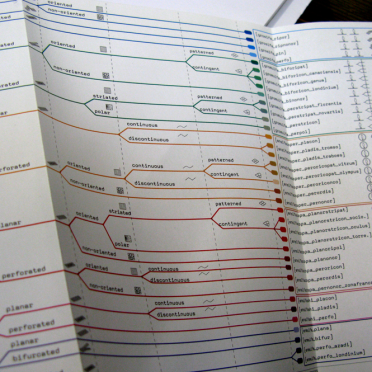 taxonomy