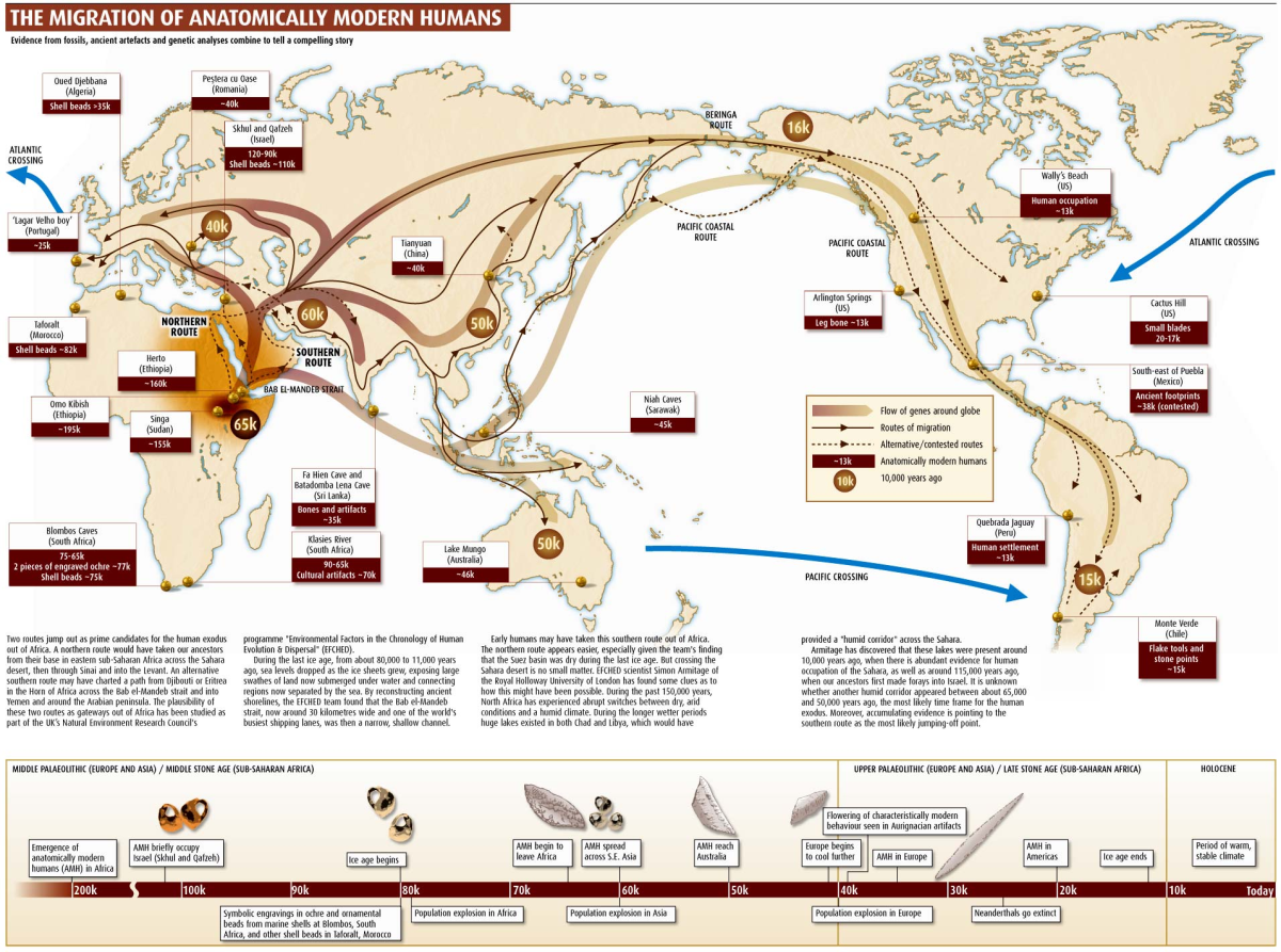 migration