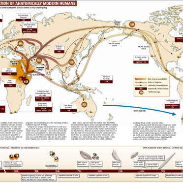 migration