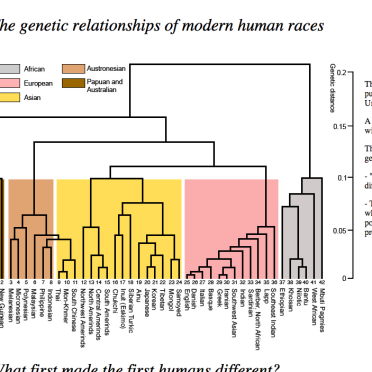 genetics