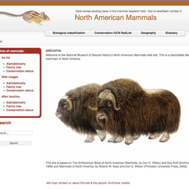 north american mammals, part 2