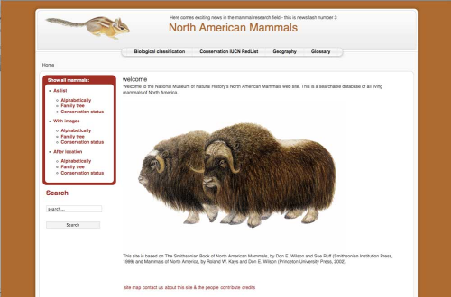 north american mammals, part 2
