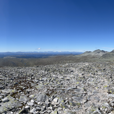 panorama