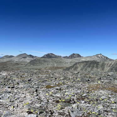 peaks
