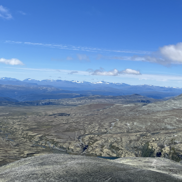 vista