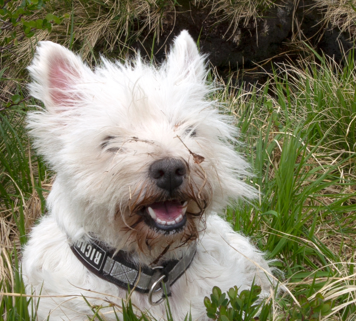 what do you mean i have sticks on my face?!