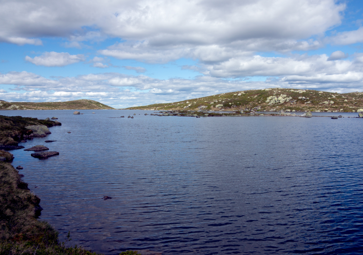 crocodile lake