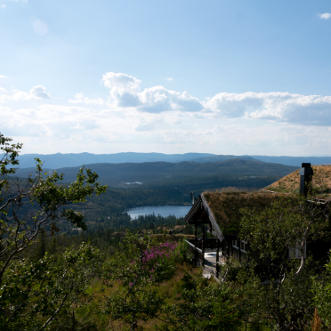 flårida