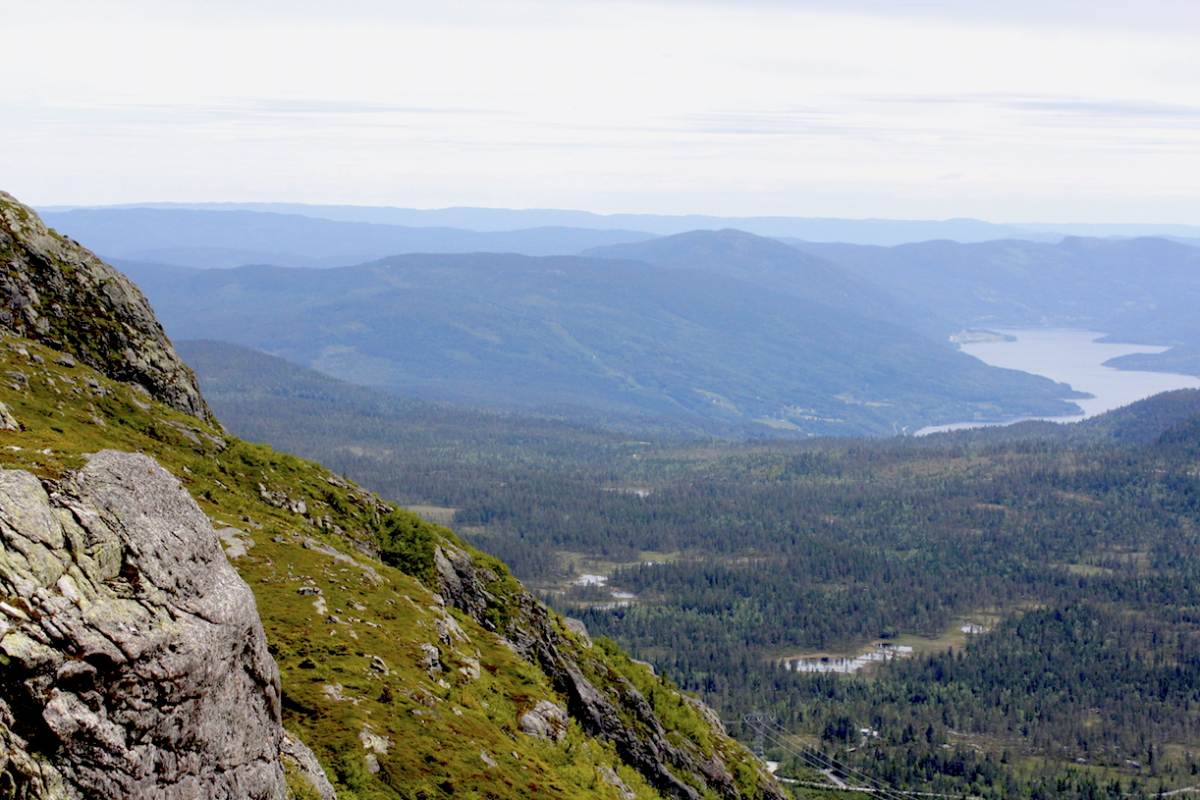 higher…