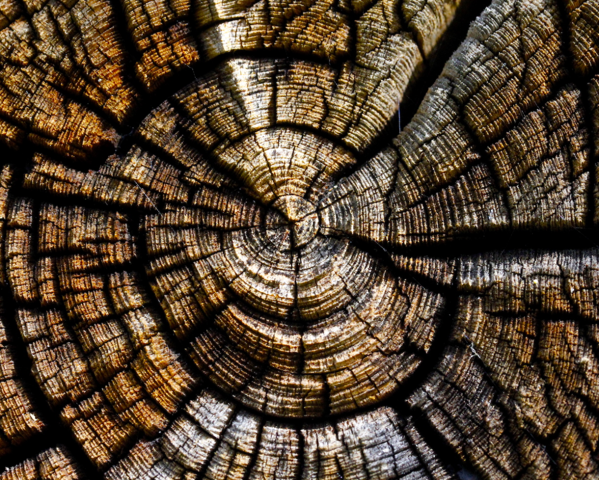 wood