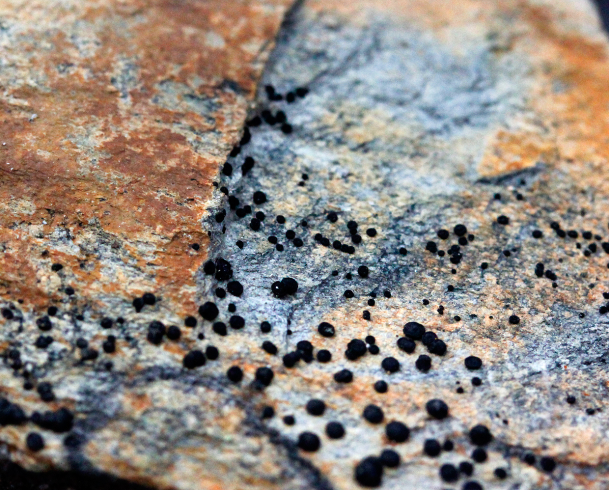 geology