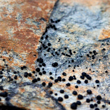 geology