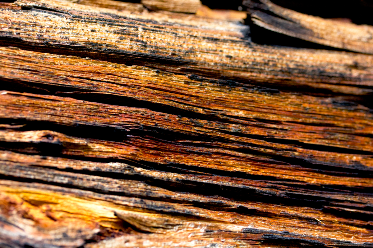 wood