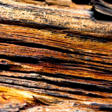 wood