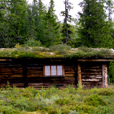 wilderness indeed