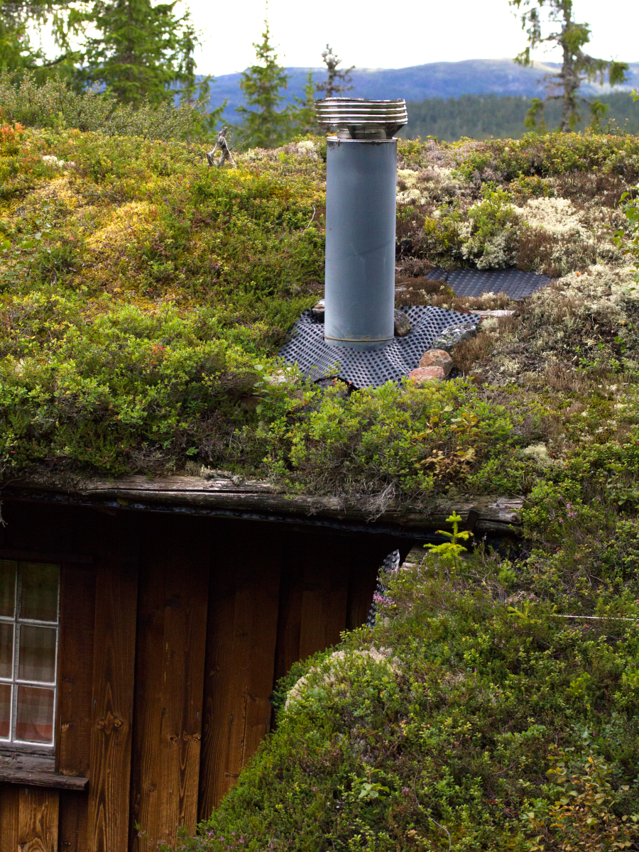 living roof