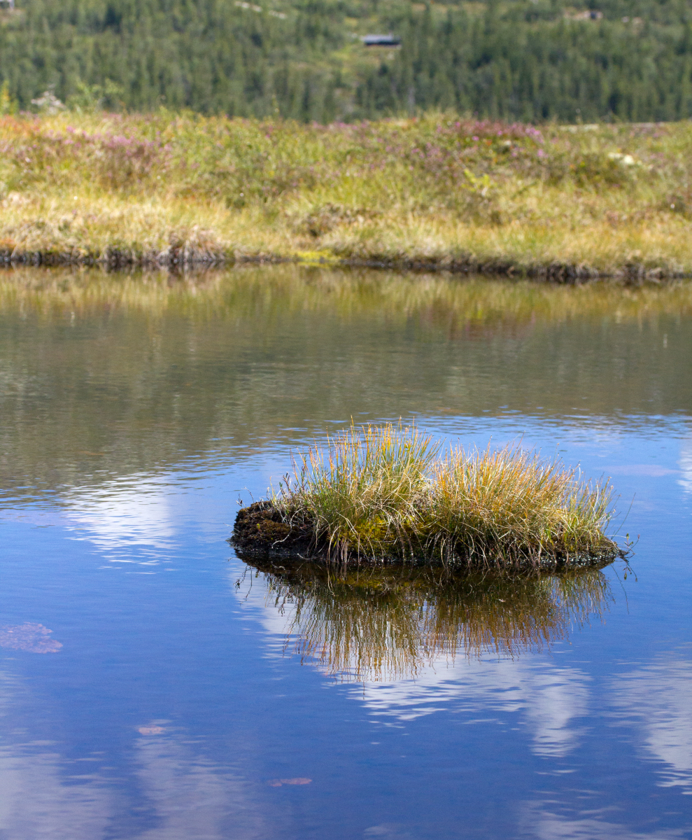 little lake, little island