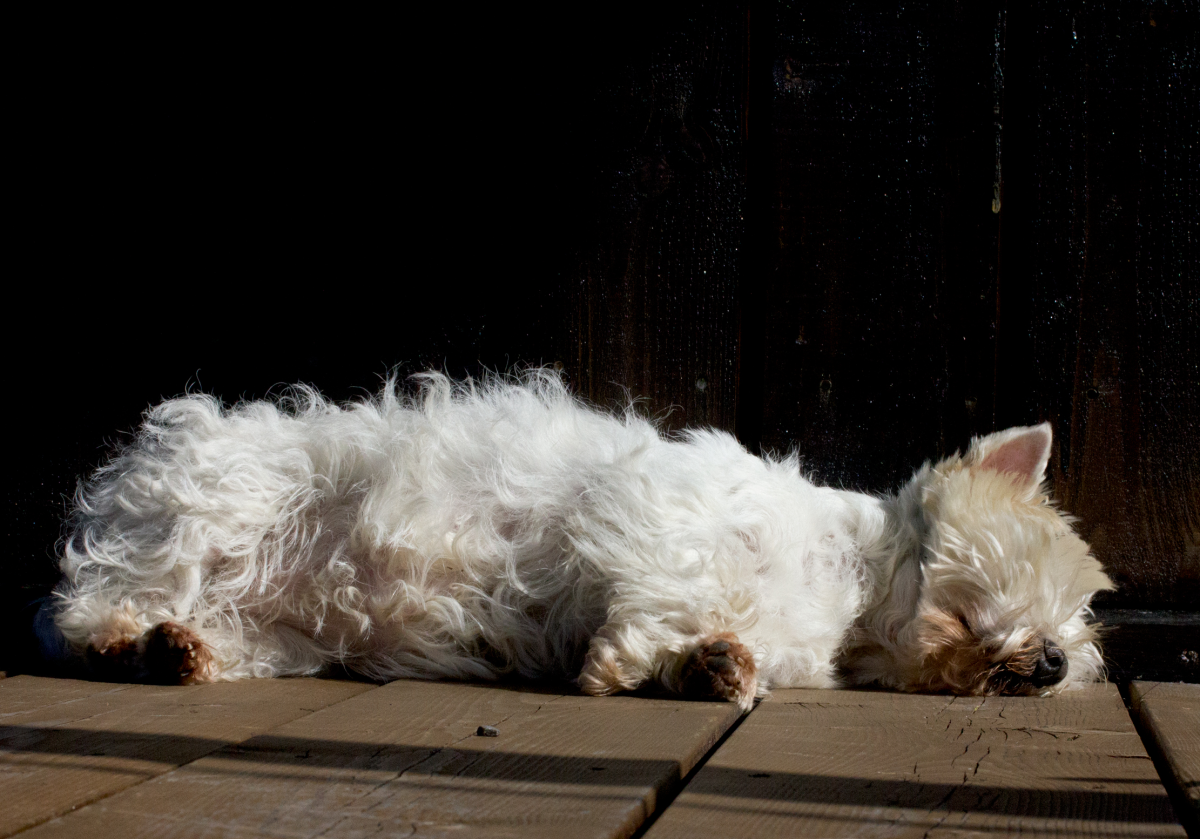 had enough – 