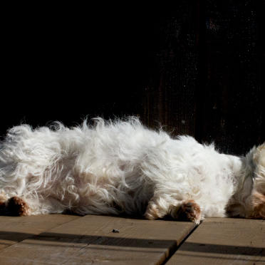 had enough – 