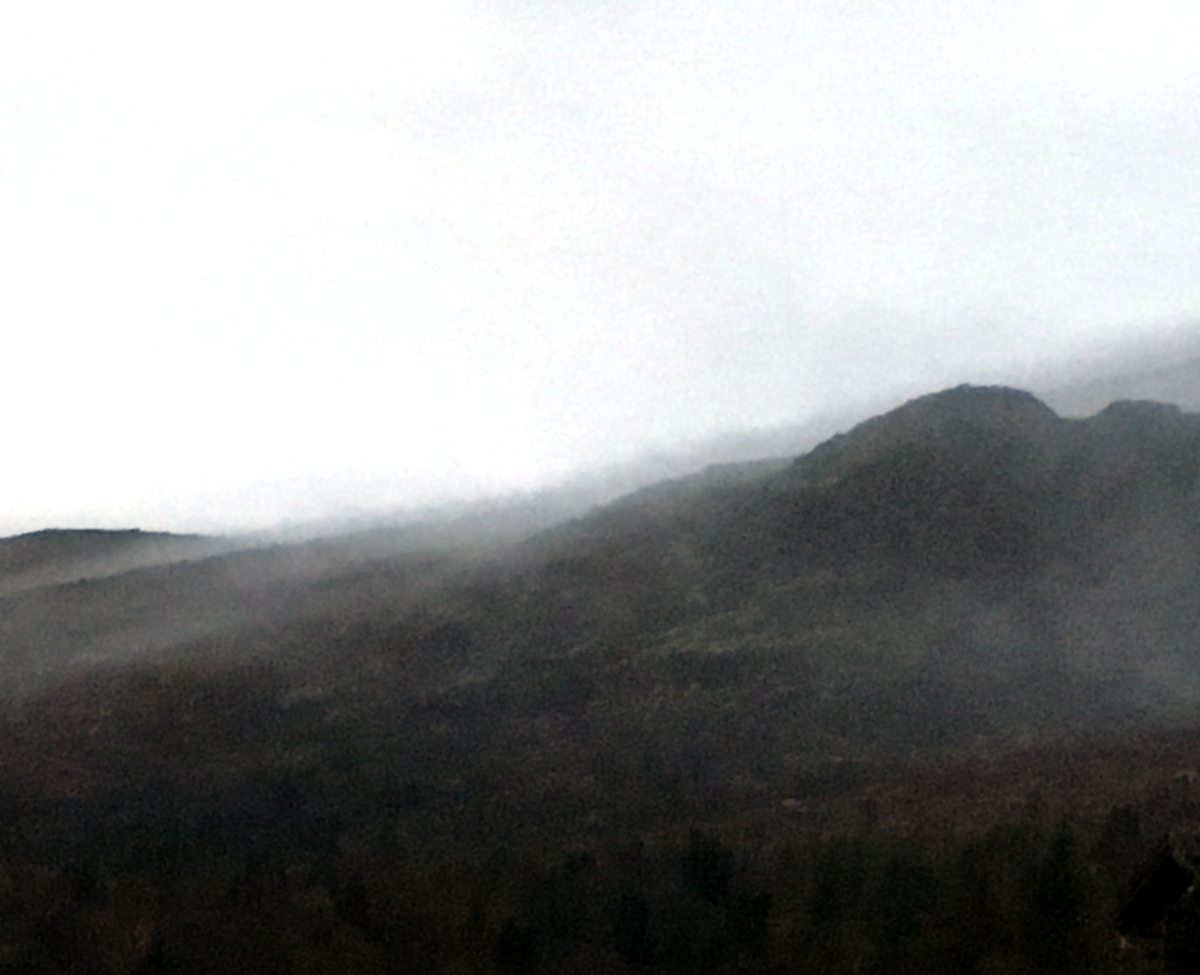fog