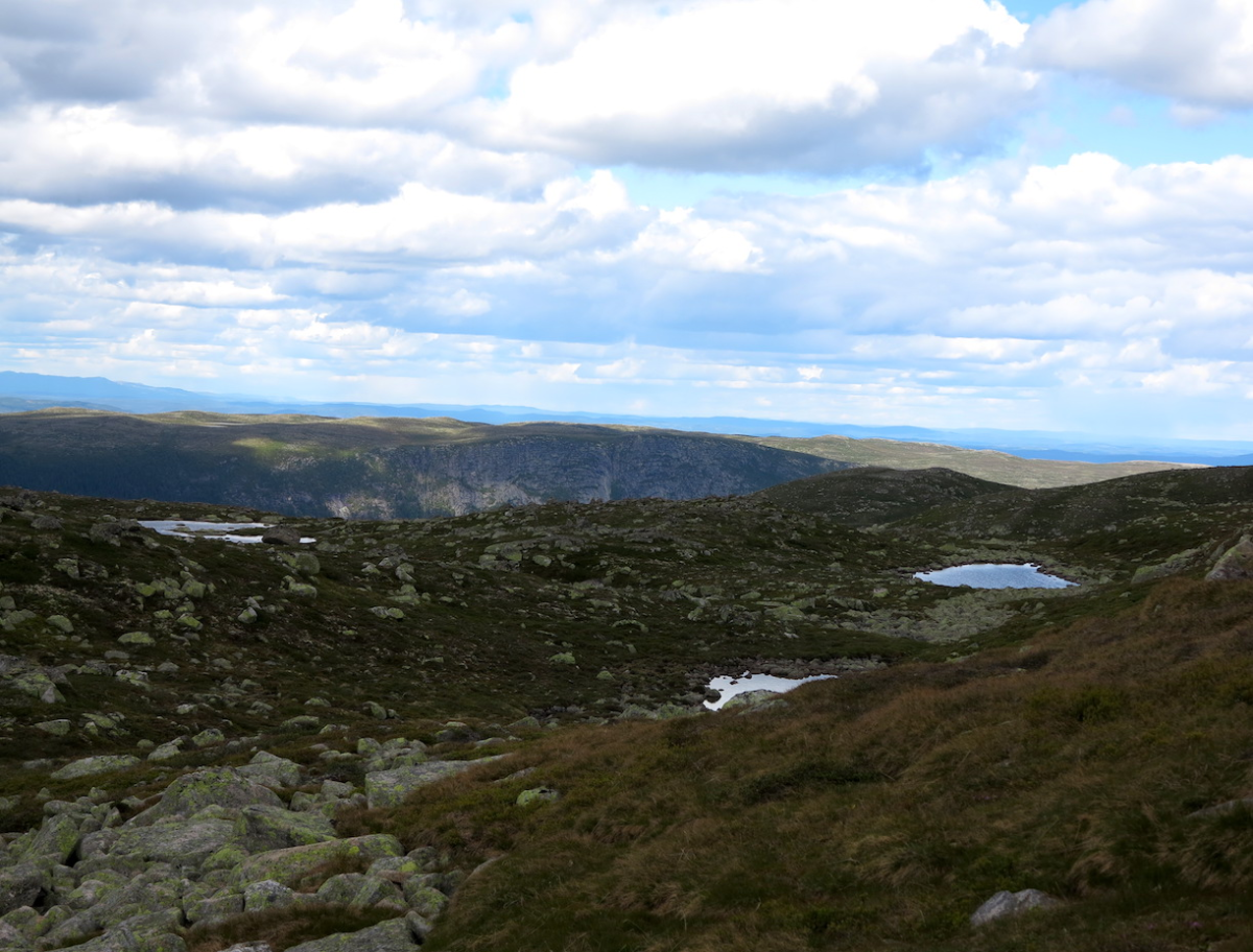 lakes