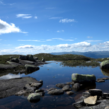 pond
