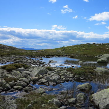 pond