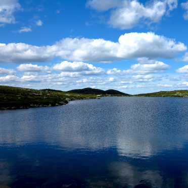 Harehoppvann