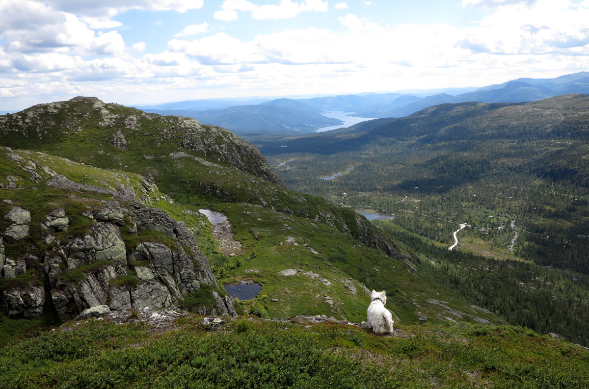 looking at Øvre Harapost…