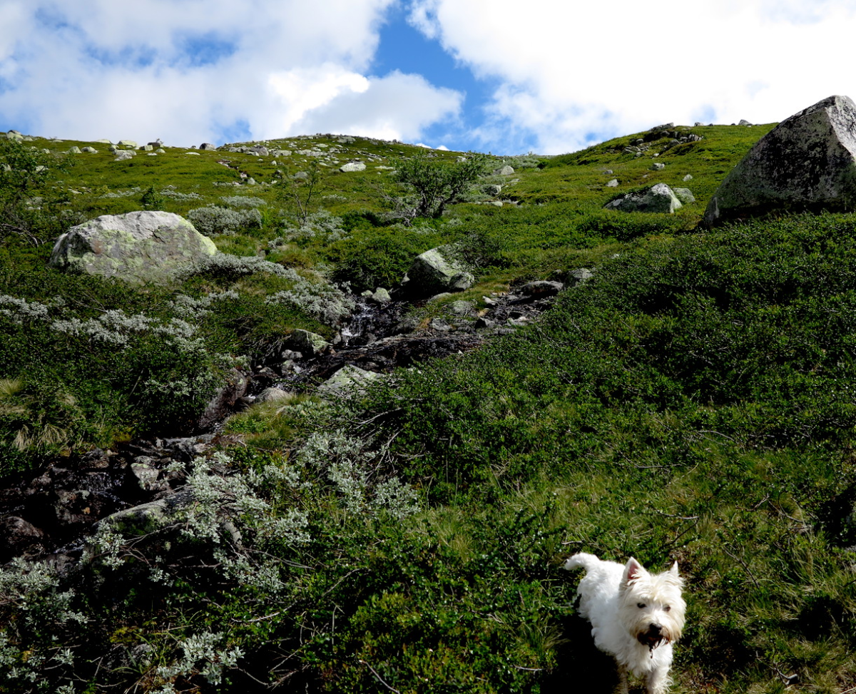 it is always uphill…