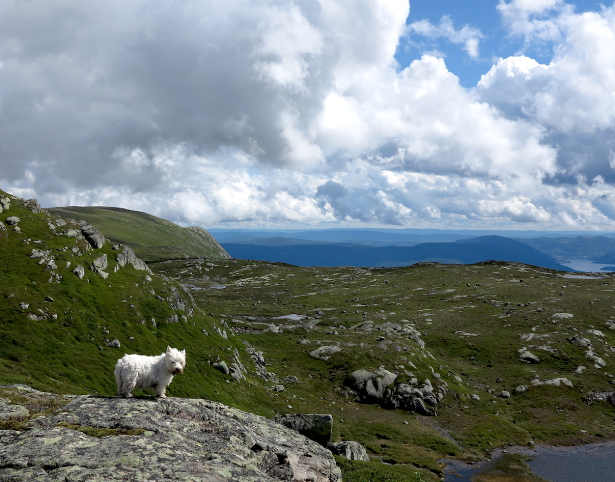 Sørbølnatten, Krøderen