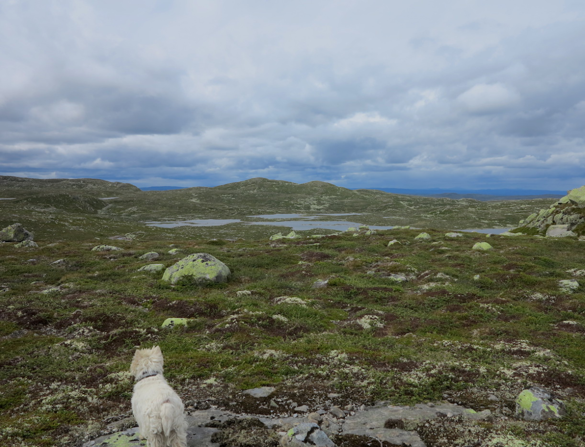 …the other side of the mountain…