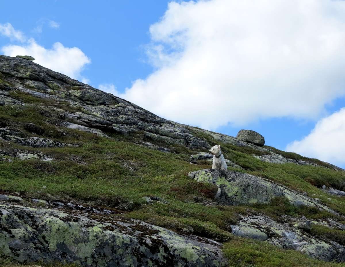 onwards, upwards!