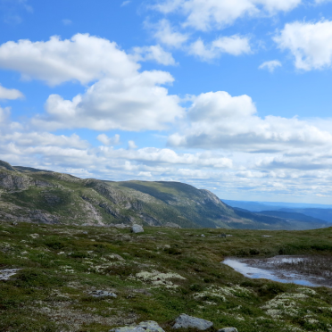Sørbølnatten