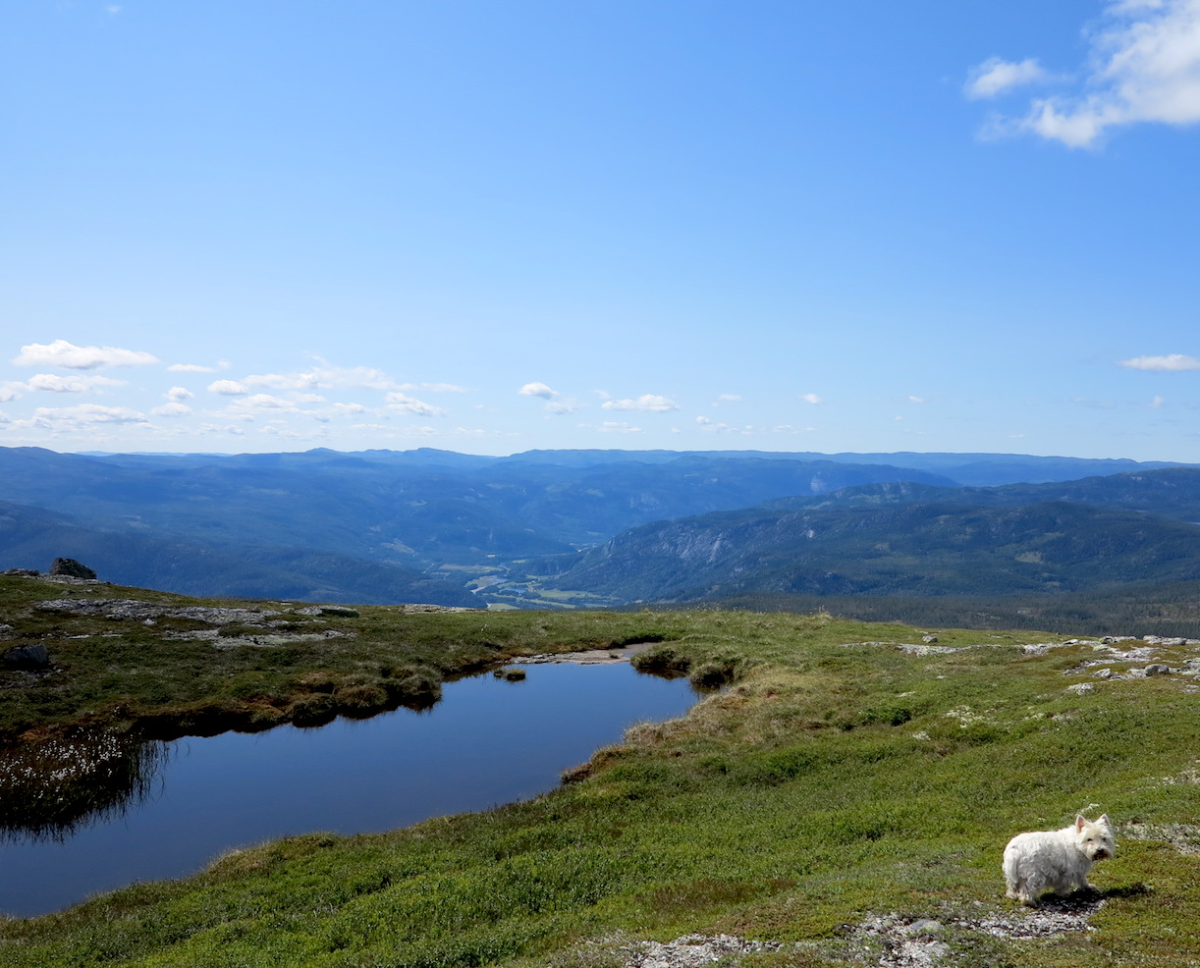 Hallingdal